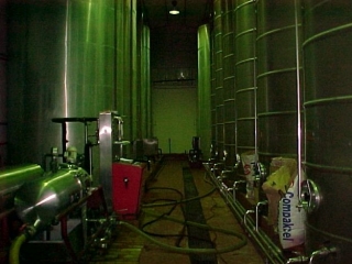 nave donde se embotella el vino